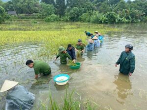 photo-library-20250930175816-15bc6d0f-5674-4db6-a3cd-606fe2dda1ea-4-2025-09-30t175359-944-17594241699071245594772-1759441678491-17594416869181753116543