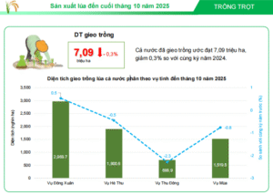 screenshot_1764388993