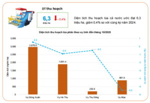 screenshot_1764389348