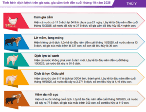 screenshot_1764389590