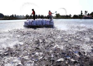 13ecc298-539a-4d13-a388-85d17ee23ea1