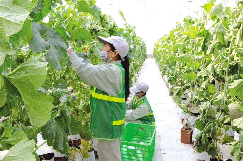 83-1729393920-article