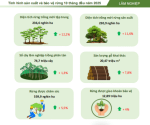 screenshot_1764562212